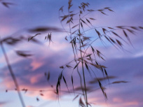 'Chemins, quel sera le vôtre ?', projection et conférence au cinéma Le Brady