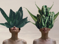 Festival Fédéchansons 2019 : à la découverte de la nouvelle scène francophone