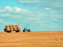 Coronavirus : Lancement de la plateforme MobilisationEmploi