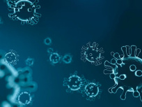 Le Coronavirus a infecté 4,4% de la population française, selon l'Institut Pasteur