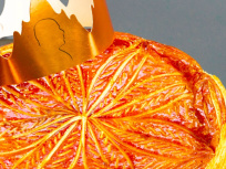 Galette des Rois 2021 de Thierry Marx