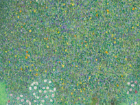 Spoliations nazies : Le Parlement vote la restitution de 15 œuvres d'art dont Klimt et Chagall