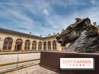 Nature, le spectacle équestre aux Grandes Ecuries du Domaine de Chantilly