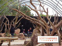 Zoo de Thoiry 2018 : les photos
