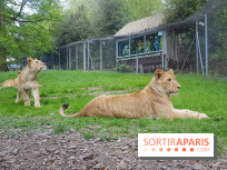 Zoo de Thoiry 2018 : les photos