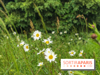 L'Arboretum de Versailles - Chevreloup