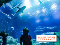 Loup préserve les océans à l'Aquarium de Paris, les photos