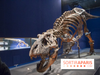 Un T-Rex à Paris : les photos