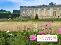 Jean Cotelle, l'exposition au Grand Trianon de Versailles