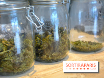 Le Lab du bonheur à Paris, un Coffee Shop CBD bien-être 