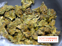 Le Lab du bonheur à Paris, un Coffee Shop CBD bien-être 