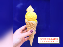Glaces Senoble