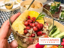 Maison Plisson 2, inauguration