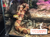 Poison au Palais de la Découverte, les photos 