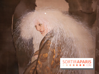 Les trésors de Kyoto au Musée Cernuschi