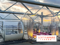 Bulle de rêves : la terrasse d'hiver du restaurant George au sommet du Centre Pompidou