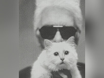 Exposition Karl Lagerfeld Sotheby's