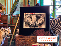 Johnny Depp dévoile une œuvre à découvrir gratuitement dans un cabinet de curiosités parisien