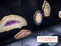 Rêveries de pierres : l'exposition rétrospective gratuite à l'Ecole des Arts Joailliers