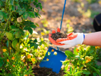 Printemps des quais à Pontoise (95)