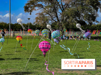 Festival de l'Air 2025 à Montesson (78) : montgolfière, cerfs-volants et concert gratuit en octobre