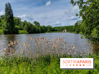 visuel Paris - île de France - nature - forêt