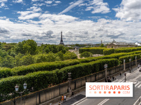 visuel Paris visuel  -  Rue de Rivoli - jardin des Tuileries 