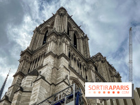 visuel Paris visuel  - notre dame 