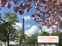 Visuel Paris, Tour Eiffel printemps