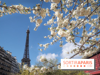 Visuel Paris, Tour Eiffel printemps