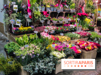 Visuel Paris marché d'Aligre fleurs