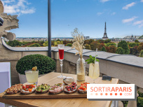 Visuel Paris Tour Eiffel rooftop Crillon