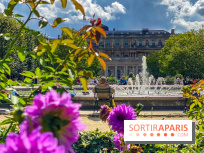 Visuel Paris Jardin Palais Royal