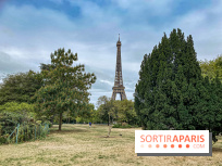 Visuel Paris Tour Eiffel