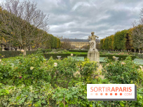 Visuel Paris vide confinement Palais Royal