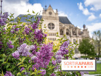 Visuel Paris Jardin Nelson Mandela Eglise Saint Eustache