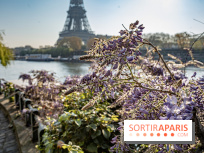 Visuel Paris glycine Tour Eiffel Seine