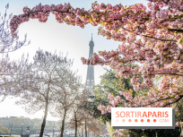 Visuel Paris Tour Eiffel cerisiers en fleurs
