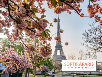 Visuel Paris Tour Eiffel cerisiers en fleurs