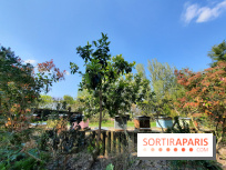 Visuel Paris - rucher