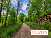 Visuel Paris balade forêt île de france