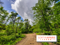 Visuel Paris balade forêt île de france