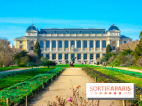 Mille et une Orchidées 2019 au Jardin des Plantes, les photos