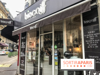 La coloration végétale chez Biocoiff'