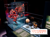 Océan, l'exposition à la Grande Galerie de l'Evolution