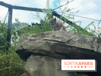 Parc Zoologique de Paris 2019