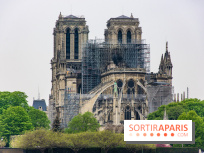 Notre Dame de Paris, les photos des dégâts