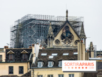 Notre Dame de Paris, les photos des dégâts