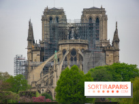 Notre Dame de Paris, les photos des dégâts