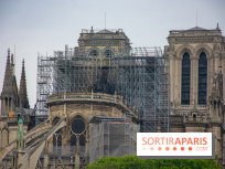 Notre Dame de Paris, les photos des dégâts